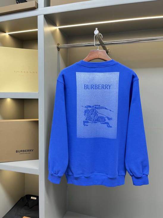 Picture of Burberry Sweatshirt _SKUBurberryS-2XLaztx876031012